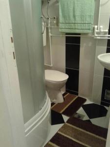 Bagno di Apartmani Sobe Sljivancanin