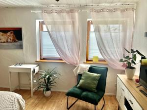 1 Schlafzimmer mit einem grünen Stuhl und 2 Fenstern in der Unterkunft Apartment Balingen City in Balingen