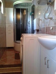 Bagno di Apartmani Sobe Sljivancanin