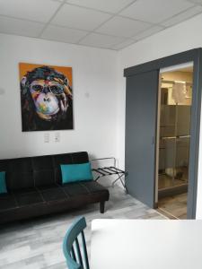 Zona de estar de 2 appartements au choix centre ville de Souillac entre Sarlat et Rocamadour
