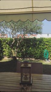 Zahrada ubytování Regal beach