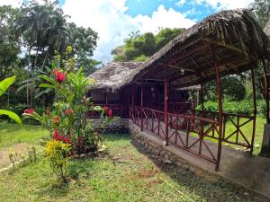 eine kleine Hütte mit einem Strohdach und einem Garten in der Unterkunft Isla Ecologica Mariana Miller in Puerto Misahuallí