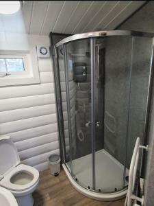 a bathroom with a shower and a toilet at Great Escapes,Rhinog mountain View in Trawsfynydd