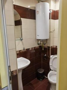 małą łazienkę z toaletą i umywalką w obiekcie House for Guests and Friends w mieście Swisztow