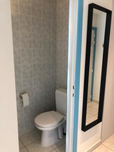 La salle de bains est pourvue de toilettes et d'un miroir. dans l'établissement Seastar, à Saint-Idesbald