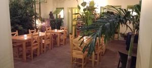un restaurante con mesas de madera, sillas y plantas en La Maison du Marin, en Gorée
