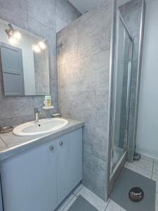 uma casa de banho com um lavatório e um chuveiro em Appartement calme lumineux proche gare 3 chambres em Angoulême