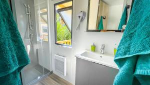 ein Bad mit einem Waschbecken und einem Spiegel in der Unterkunft Le Domaine De Mesqueau in Plougasnou