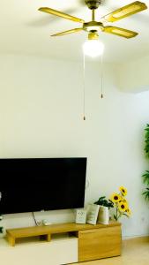 Televízia a/alebo spoločenská miestnosť v ubytovaní Apartamento centro playa estación de tren