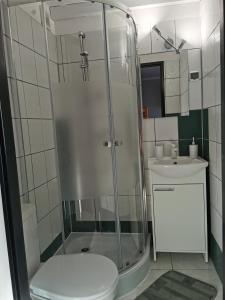 een badkamer met een douche, een toilet en een wastafel bij Dom Gościnny Bliżej Gwiazd in Nacmierz