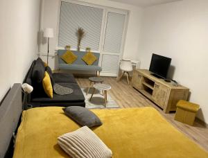 ein Wohnzimmer mit einem Bett, einem Sofa und einem TV in der Unterkunft City Ela Center in Košice