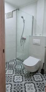 a bathroom with a shower and a toilet in it at Apartman Green Lux in Vrnjačka Banja