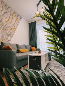 ein Wohnzimmer mit einem Sofa und einer Pflanze in der Unterkunft D-moll Divcibare in Divčibare