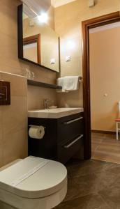 a bathroom with a toilet and a sink and a mirror at Villa Ragusa in Dubrovnik