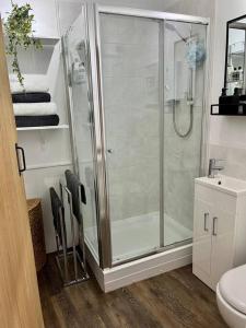 a bathroom with a shower and a toilet and a sink at Boutique penthouse apartment with rooftop terrace in Clitheroe