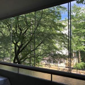 a window in a building looking out at a tree at Spacious 3 room flat with balcony at City Center in Kerava