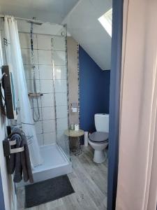 Łazienka w obiekcie Gîte 3* Piscine Spa entre ZOO BEAUVAL FUTUROSCOPE CHATEAUX LOIRE