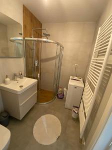 a bathroom with a shower and a sink and a toilet at Apartman M&M in Žilina