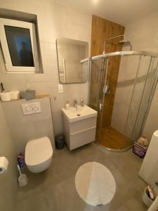 a bathroom with a shower and a toilet and a sink at Apartman M&M in Žilina