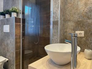 a bathroom with a bowl sink and a shower at Suite del Ponte in Varese