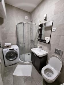 ein Bad mit einer Dusche, einem WC und einem Waschbecken in der Unterkunft Mali Princ Pupin Palace in Novi Sad