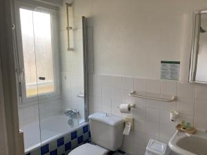 a bathroom with a toilet and a shower and a sink at Hôtel Paradis in Bormes-les-Mimosas
