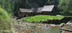 Příroda nedaleko apartmánu