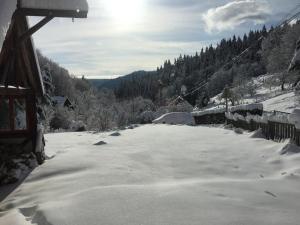 Przyroda w pobliżu tego domu wakacyjnego