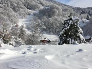 Obiekt Gite de la Grande Verrerie 6 personnes RIBEAUVILLE zimą