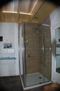 een douche met een glazen deur in de badkamer bij B&B BeZINspiratie in Schuinesloot
