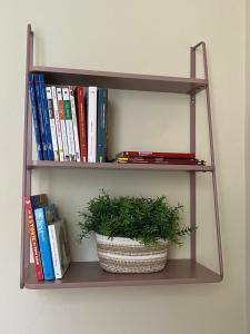 The library in Az apartmant