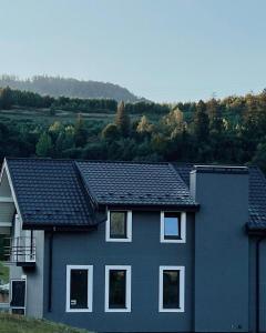 a house with a black roof at MoonLight in Slavske