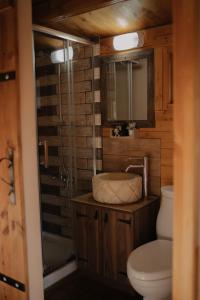 a bathroom with a toilet and a sink and a mirror at Bosco Paradiso in Limassol