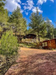 a cabin in the woods with a road and trees at Bosco Paradiso in Limassol