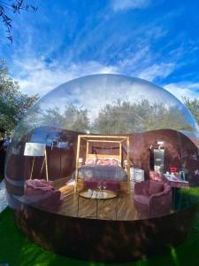 um quarto numa cúpula com uma cama e cadeiras em Bubble Glamping Sicily em Catânia