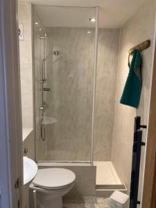 a bathroom with a shower with a toilet and a sink at Marine Terrace Apartments in Criccieth