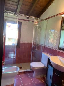 un bagno con lavandino, WC e doccia di RINCÓN DE DORA a La Pesa Altre 11 foto