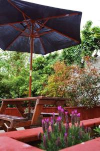 巴里卡斯爾的住宿－Harbour View House，一张带雨伞和紫色花的野餐桌