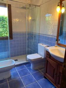 un bagno con wc, lavandino e doccia di RINCÓN DE DORA a La Pesa