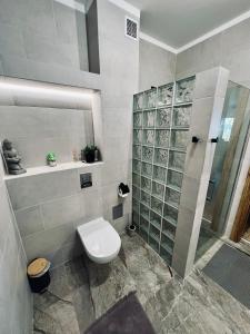 y baño con aseo y ducha. en Apartament Morsa w Nautica Resort, en Giżycko
