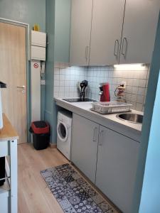 uma cozinha com um lavatório e uma máquina de lavar roupa em Appartement meublé rénové idéal pour curistes ou vacanciers em La Roche-Posay
