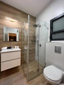a bathroom with a shower and a toilet and a sink at Aramis Suite in Neot Golan +25 photos