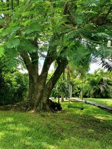 Zahrada ubytování Le Jardin du Petit Macabou
