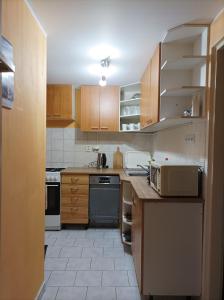 a kitchen with wooden cabinets and a counter top at MotoHostel Wolter - apartmán Leme in Všeň