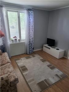 TV a/nebo společenská místnost v ubytování Mysig Lägenhet för resande.