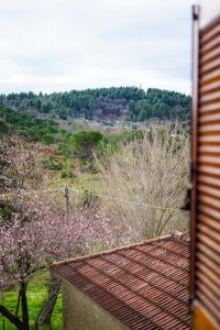 a view from a window of a house with trees at Traditional cozy residence in Lafkos, Pelion in Lafkos