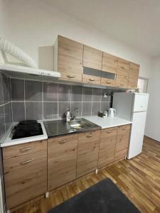 Kuchyň nebo kuchyňský kout v ubytování Apartman Tara Sombor + 13 fotografií