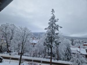 Apartament Górska Panorama v zime