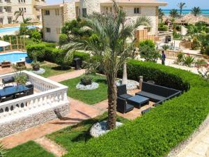 uma palmeira num quintal ao lado de uma piscina em Palma Resort Hurghda em Hurghada