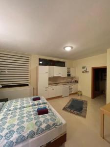 a bedroom with a bed and a kitchen at Apartmán Brooklyn in Skalica